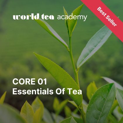 World Tea Academy